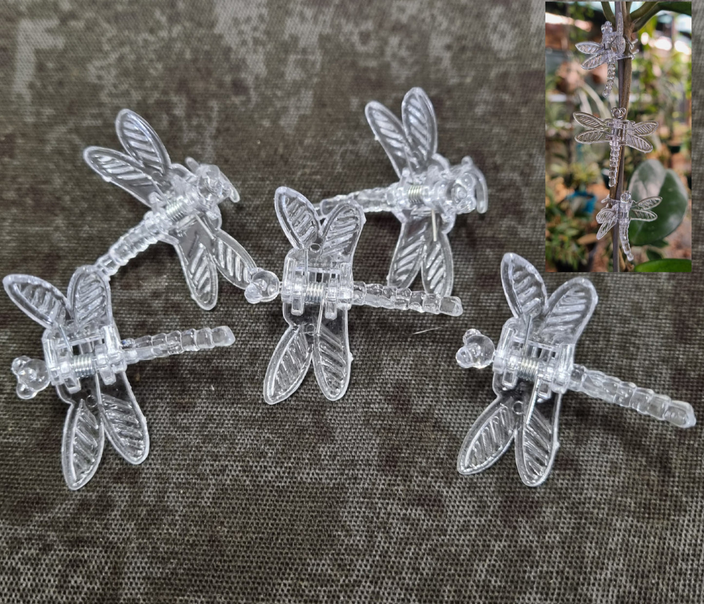 Orchid Clips (5/pack)