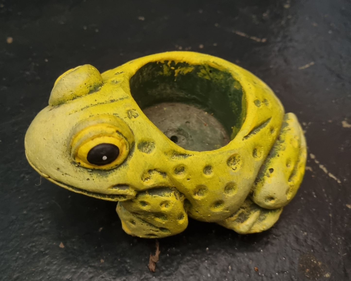 Cement Frog Planter