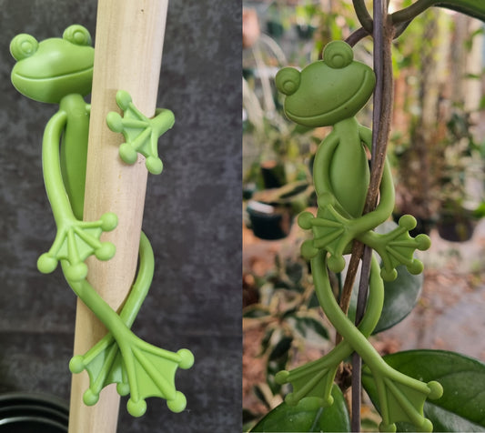 Frog Plant Support Stakes(2/pct)