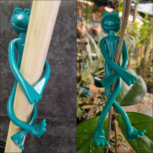 Frog Plant Support Stakes(2/pct)