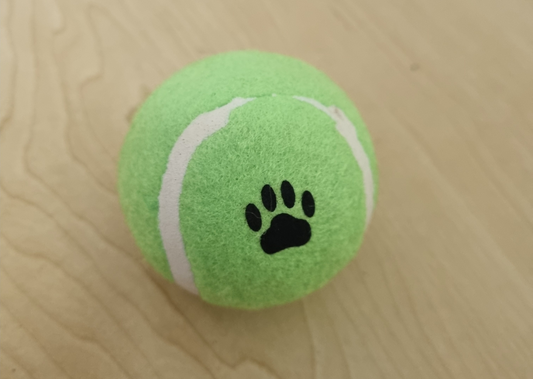 Dog Toy - Tennis Ball