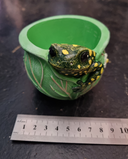 Cement Toad Planter - Painted