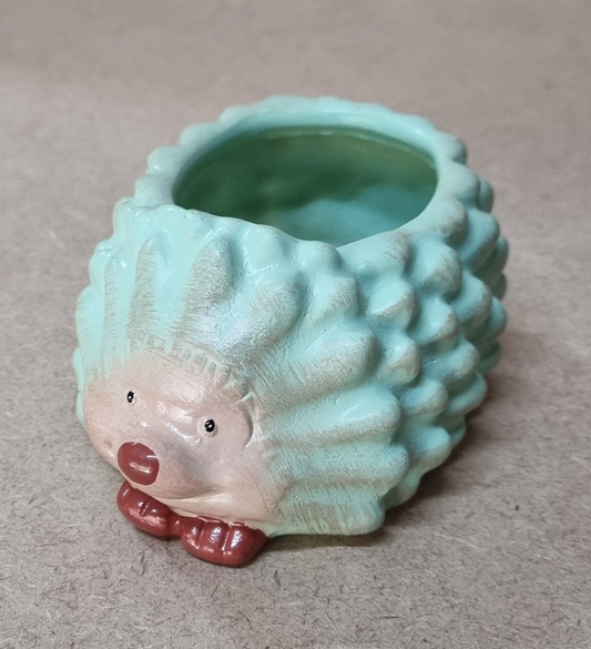 Acrylic Resin Hedgehog Planter