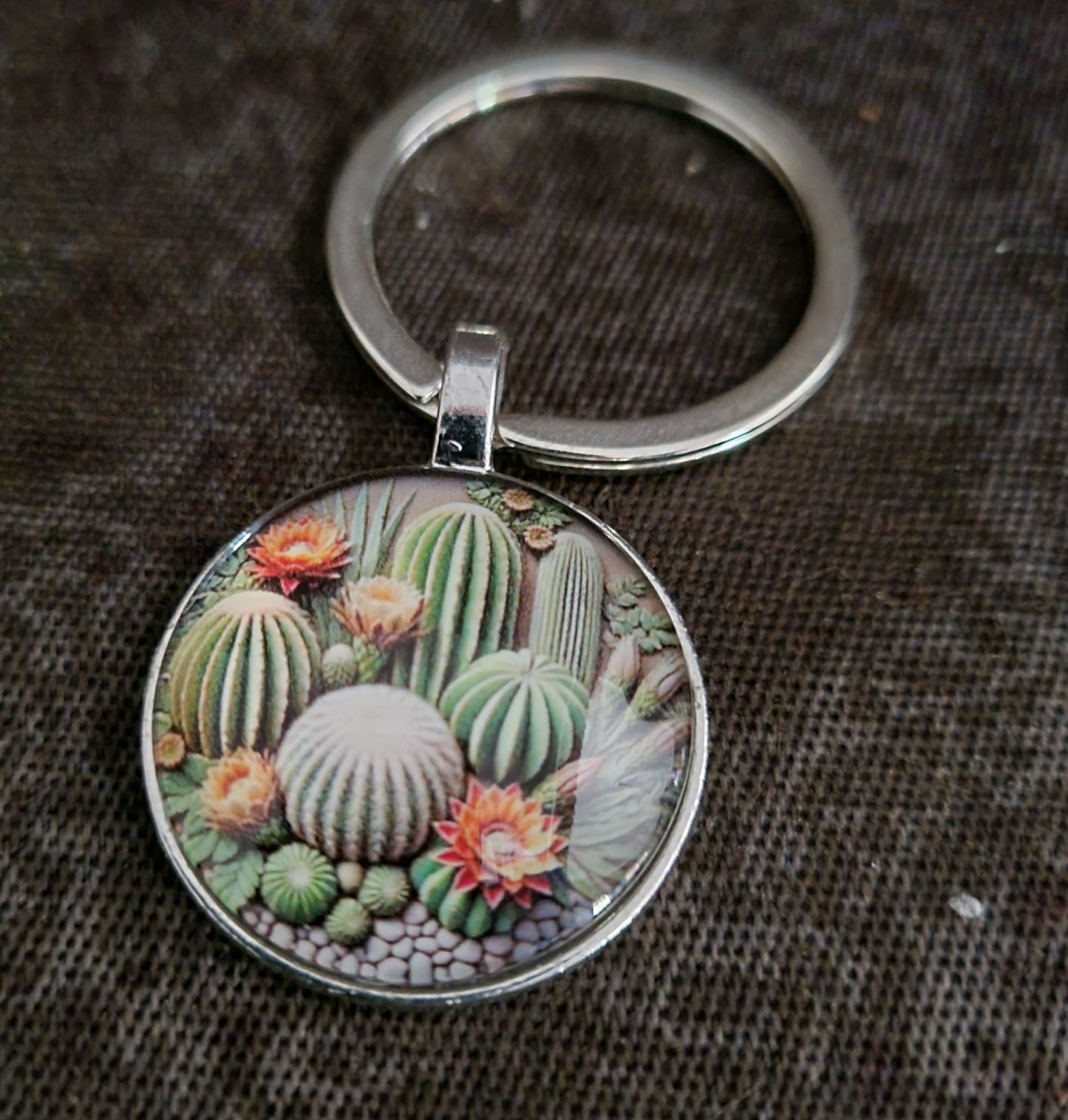 Keyring-Disc-Cactus2