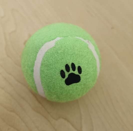Dog Toy - Tennis Ball